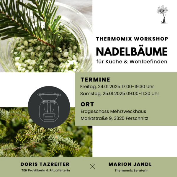 Auf Anfrage: Workshop Nadelbäume für Küche & Wohlbefinden