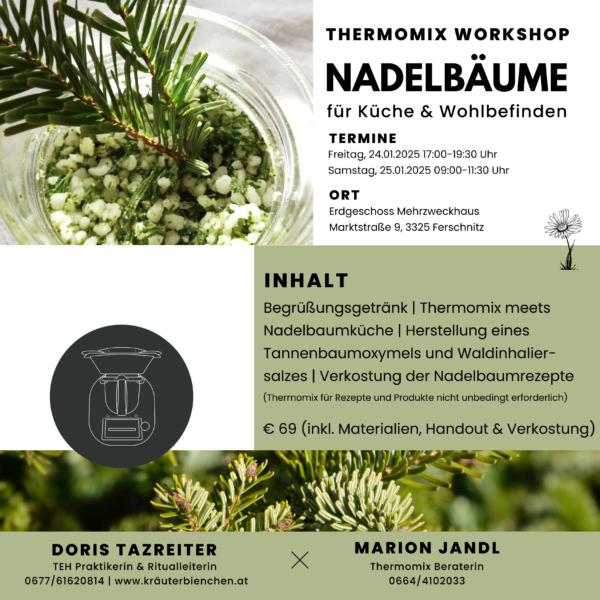 Auf Anfrage: Workshop Nadelbäume für Küche & Wohlbefinden – Bild 2