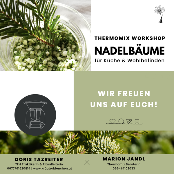 Auf Anfrage: Workshop Nadelbäume für Küche & Wohlbefinden – Bild 3