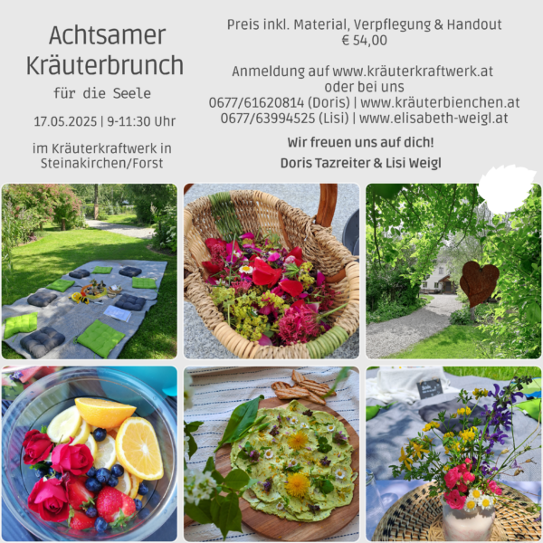 Achtsamer Kräuterbrunch für die Seele – Bild 3