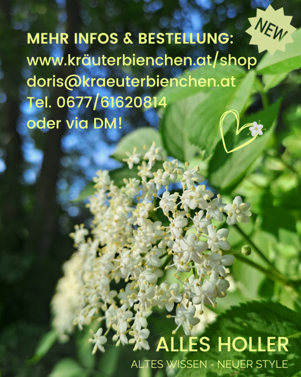 E-Book Holunder – Bild 6