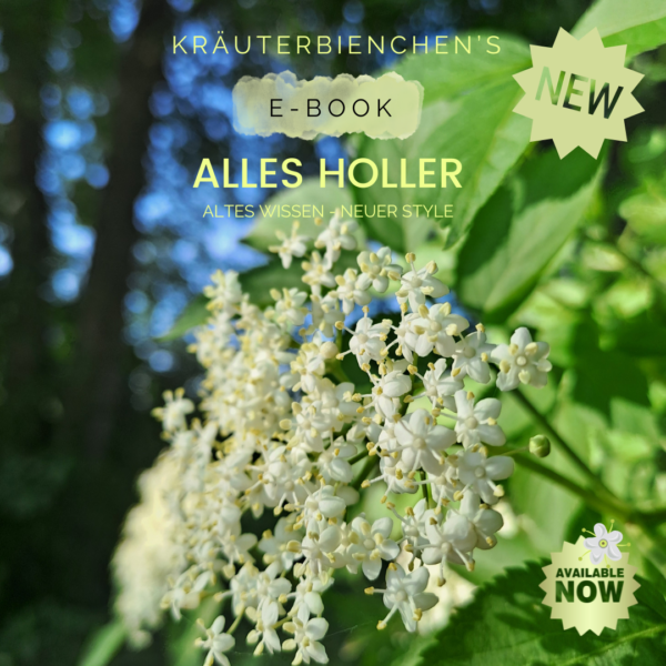 E-Book Holunder