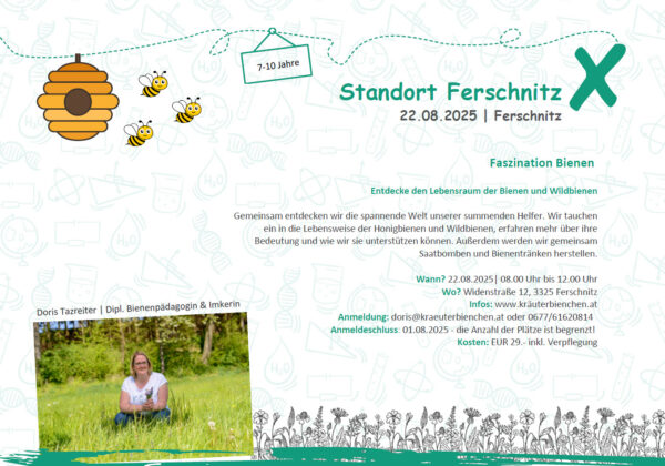 Faszination Bienen - Summercamp 4 Kids von Net for Future/Tools for Talents